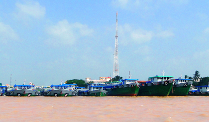 Đội tàu của HTX Rạch Gầm.  									Ảnh: P.H