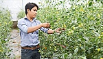 Cần nhân rộng các mô hình sản xuất nông nghiệp công nghệ cao