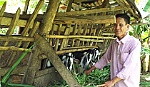 Ông Trần Văn Tám: Khá giả nhờ nuôi dê