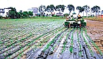 Tái cơ cấu ngành Nông nghiệp gắn với xây dựng nông thôn mới