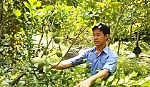Hội Nông dân xã Long Khánh: Đồng hành cùng hội viên phát triển kinh tế