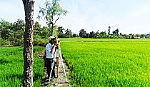 Quản lý đất đai ở TX. Gò Công - 30 năm nhìn lại