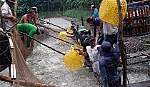 Sản xuất cá tra đang dần bước ra khỏi khó khăn
