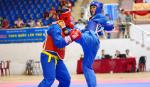 VĐV Tiền Giang giành HCV Giải vô địch Vovinam toàn quốc 2015