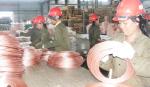 Doanh nghiệp trên địa bàn tỉnh ngày càng lớn mạnh