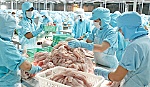 Giá trị xuất khẩu tạo điểm nhấn quan trọng trong phát triển kinh tế