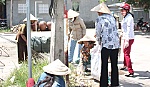 Hiệu quả từ Câu lạc bộ 