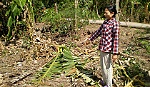 Một trường hợp khiếu nại được làm rõ