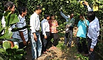 Tham quan mô hình xây dựng Tổ hợp tác Bưởi da xanh