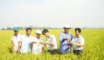 Hiệu quả 