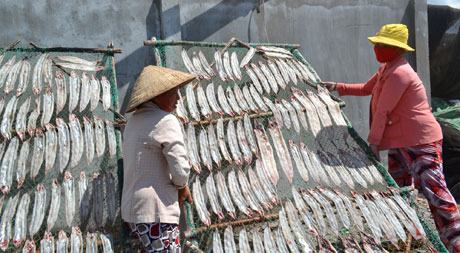 Người phơi khô liên tục đổi vị trí phơi theo hướng nắng.