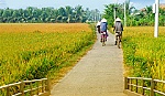 Xây dựng nông thôn mới: Khi ngành Ngân hàng 