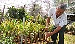 Ủy ban MTTQ huyện Cai Lậy: Kết nối những tấm lòng nhân ái
