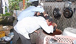 2 ca tử vong do sốt xuất huyết