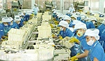 TLTTV năm 2016: Công đoàn tích cực vào cuộc đảm bảo quyền lợi NLĐ