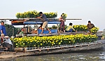 Sắc xuân trên Chợ nổi Cái Bè