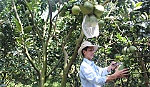Anh Giàu vượt khó làm giàu