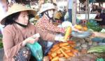 Giá cước vận tải và hàng hóa chưa giảm theo giá xăng, dầu