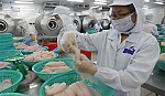 3 nhà máy chế biến cá tra của tỉnh được phép vào thị trường Mỹ
