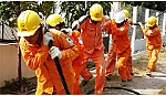 Lắp trạm biến áp để bơm cứu lúa