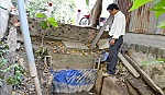 Huyện Châu Thành: Chủ động phòng, chống hạn, xâm nhập mặn