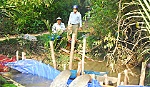 Hạn, mặn ảnh hưởng các xã vùng ven TP. Mỹ Tho