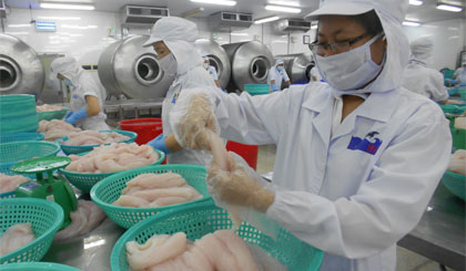 Chế biến cá tra xuất khẩu tại Công ty cổ phần Hùng Vương.