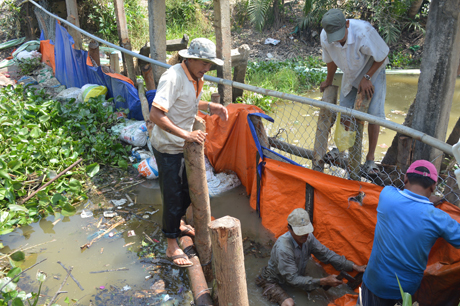 Người dân ấp Hòa Thân (xã Bình Đông, TX. Gò Công) dùng bạt chắn trữ nước để bơm cứu lúa.