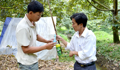 Nhà vườn đo độ mặn trong mương vườn sầu riêng.