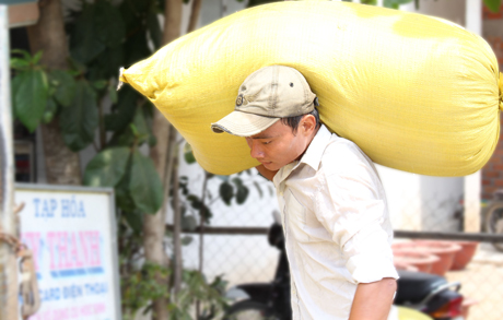 Anh Điêu Thiện Quốc đang vác lúa lên xe cho thương lái.