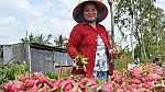 Hiệu quả 