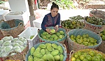 Giá các sản phẩm nông, thủy sản tương đối ổn định