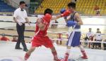 Khai mạc Giải vô địch các CLB Boxing toàn quốc 2016