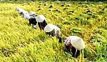 BĐKH không còn ở tương lai: 