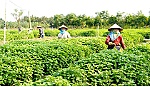 Phải coi xây dựng NTM là nhiệm vụ chính trị trọng tâm, thường xuyên