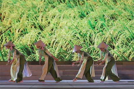 Đất Phương Nam xanh màu lúa.