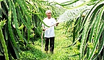 Lương Hòa Lạc: Khai thác thế mạnh thương mại&nghề thủ công truyền thống