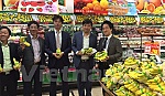 Chuối Việt Nam chinh phục ngoạn mục thị trường Nhật Bản