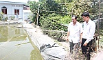 2 nông dân sản xuất - kinh doanh giỏi ở xã Ngũ Hiệp