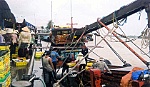 Khai thác biển có hiệu quả trong khi nuôi thủy sản gặp khó khăn