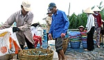 Cách tiếp cận để giảm giá thành tôm nuôi nước lợ