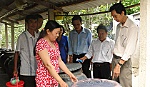 Chủ động ứng phó không để dịch sốt xuất huyết bùng phát