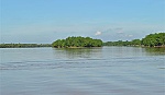 Dự án 
