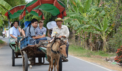 Du khách tham quan Cù lao Thới Sơn bằng xe ngựa. Ảnh: Vân Anh