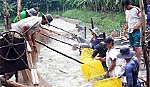 Nghề nuôi tôm nước lợ, cá tra chưa hết khó