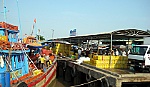 THT khai thác thủy sản: Chỗ dựa cho ngư dân yên tâm bám biển