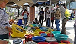 Kinh tế biển có vai trò quan trọng trong việc phát triển KT-XH tỉnh nhà