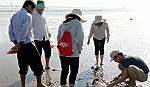 Khẩn trương ngăn chặn và hạn chế thiệt hại do nghêu chết