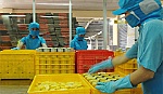 Ông Trần Đỗ Liêm: Hội nhập phải bắt đầu ngay từ trong nước