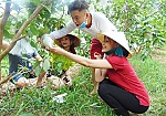 Về cù lao Tân Phong… vui Tết Đoan Ngọ!